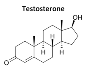 boost testosterone, boost testosterone naturally, does testosterone make you lose weight, how to boost testosterone, how to boost testosterone naturally, how to boost your testosterone, how to increase your testosterone, naturally boost testosterone, should i take testosterone