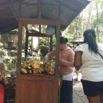 Eat, Pray, Love, Bananas, Monkey Forest, Bali