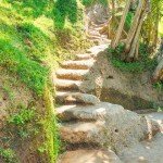 The Mud Steps at the Rice Terrace